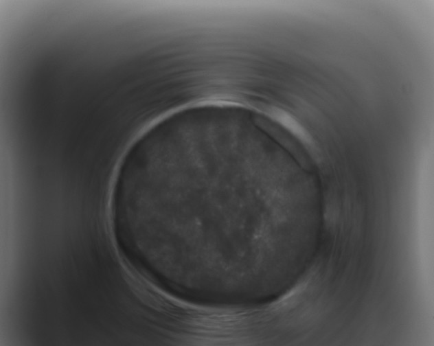 X0000089761372200706281636