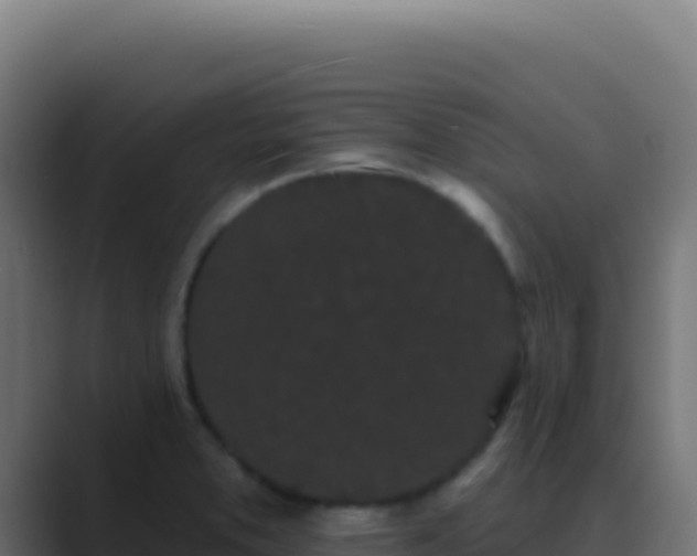 X0000089761373200706281636