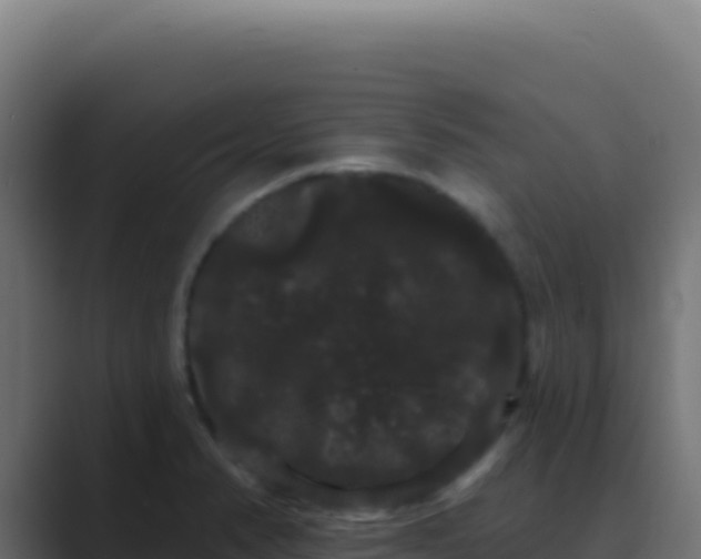 X0000089761374200706281636