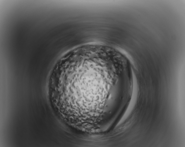 X0000089761375200706281636