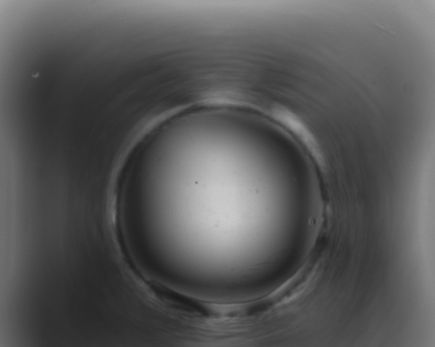 X0000089761376200706281636
