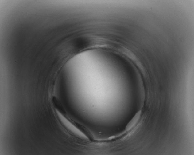 X0000089761377200706281636