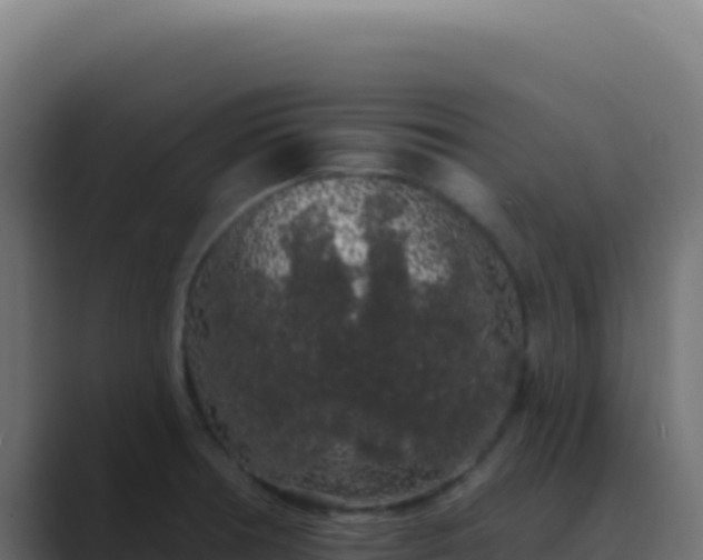 X0000089761378200706281636