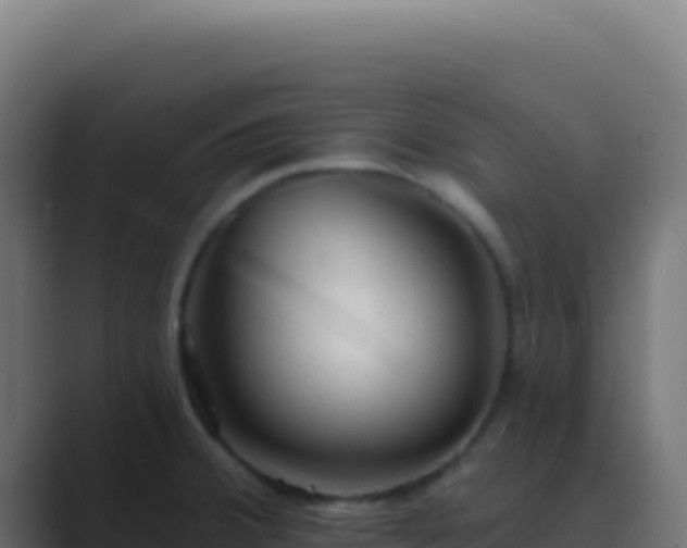 X0000089761380200706281636