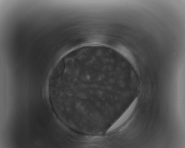 X0000089761382200706281635