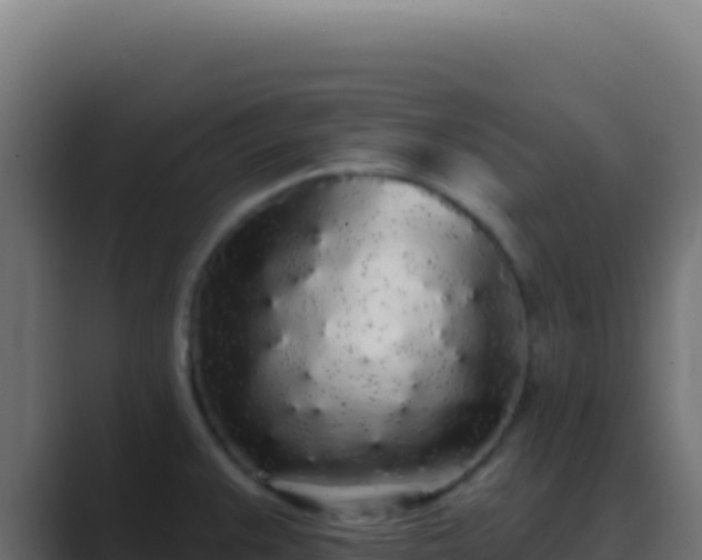 X0000089761383200706281635