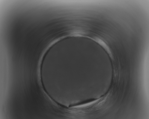 X0000089761384200706281635