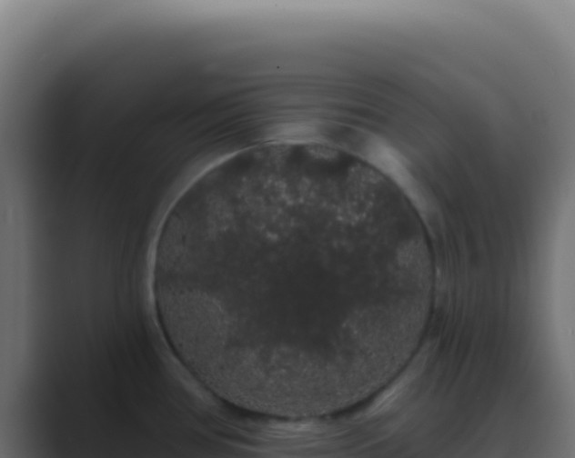 X0000089761386200706281635