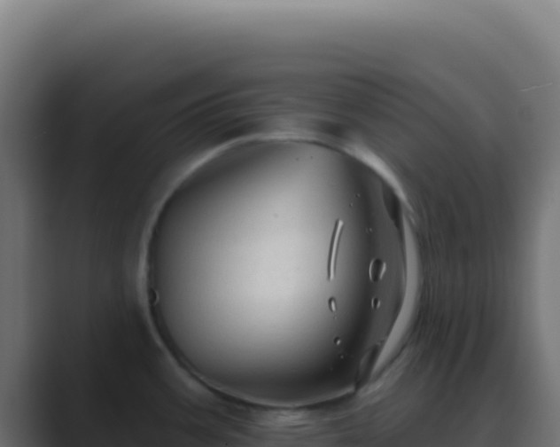 X0000089761387200706281635