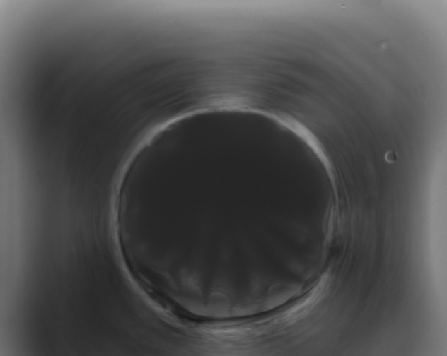 X0000089761389200706281635