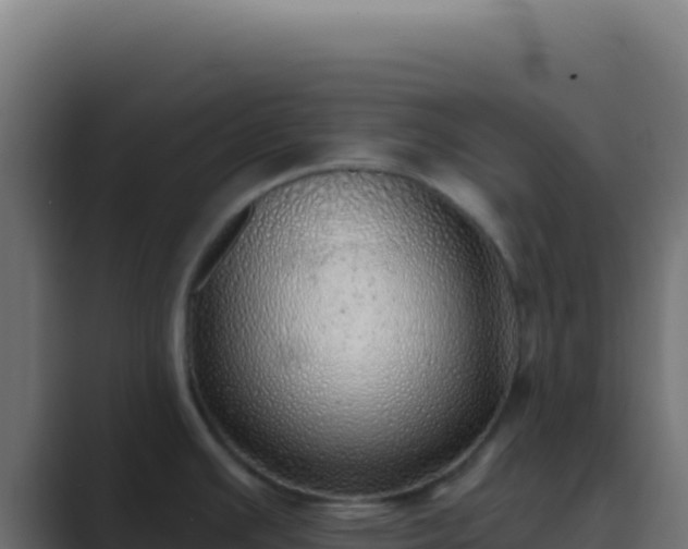 X0000089761391200706281635