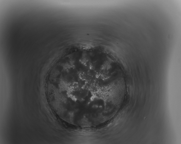 X0000089761393200706281635