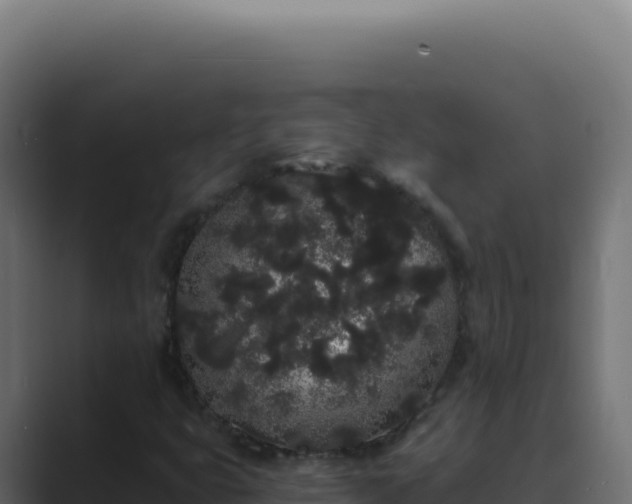 X0000089761399200706281635