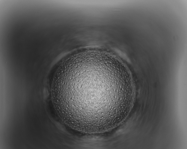 X0000089761400200706281635