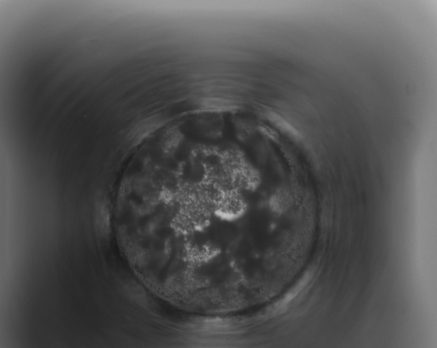 X0000089761401200706281635