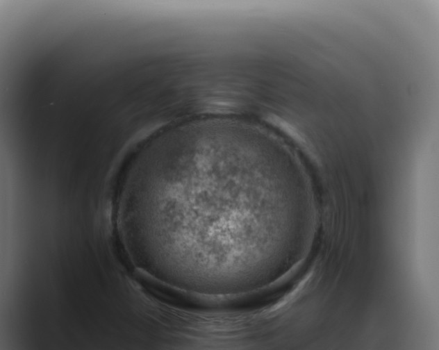 X0000089761402200706281635