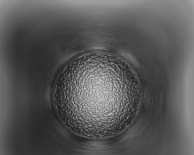 X0000089761404200706281635