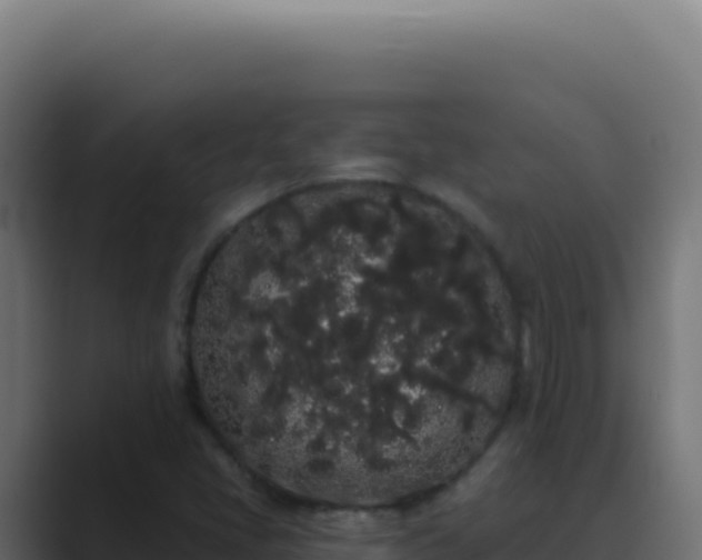 X0000089761405200706281635