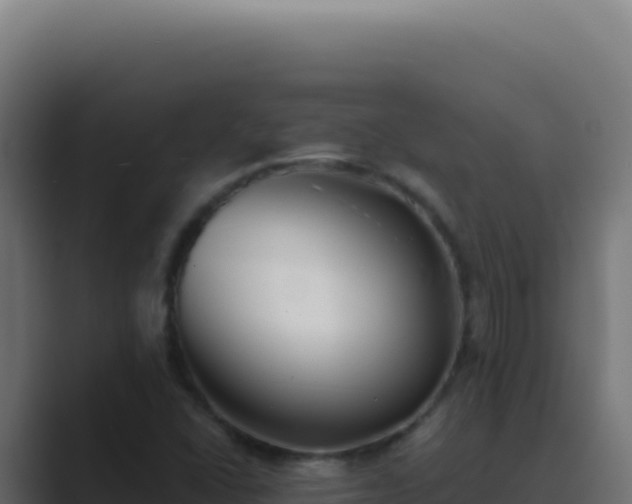 X0000089761406200706281635