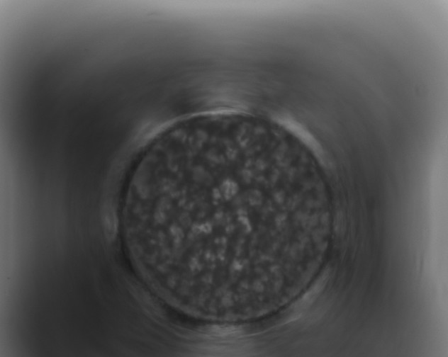 X0000089761407200706281635