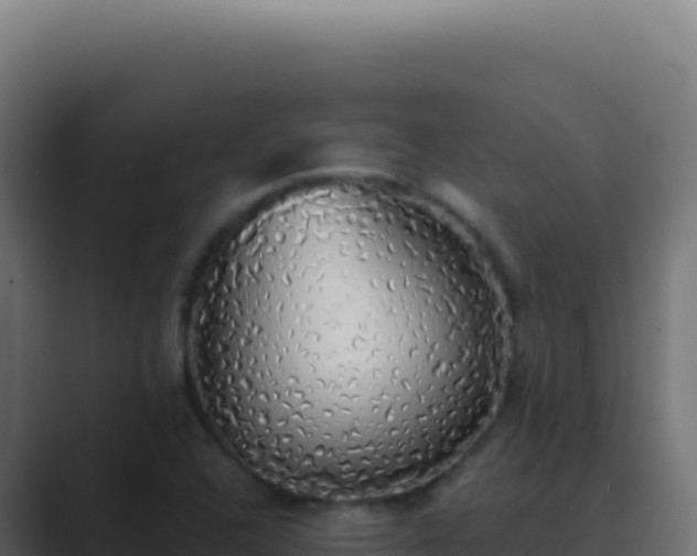 X0000089761408200706281635