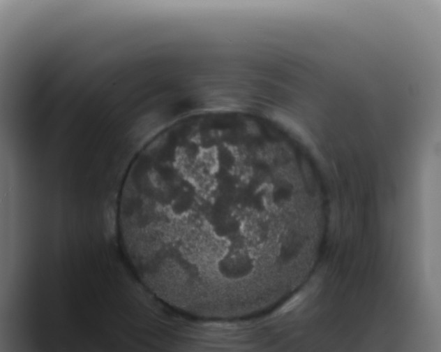 X0000089761409200706281635