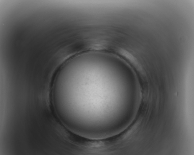 X0000089761410200706281635