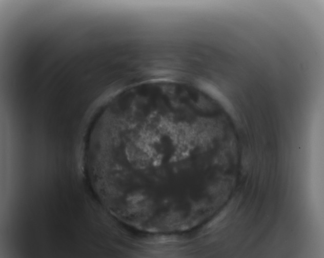 X0000089761411200706281635