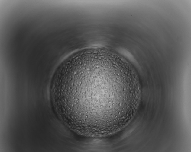 X0000089761412200706281635