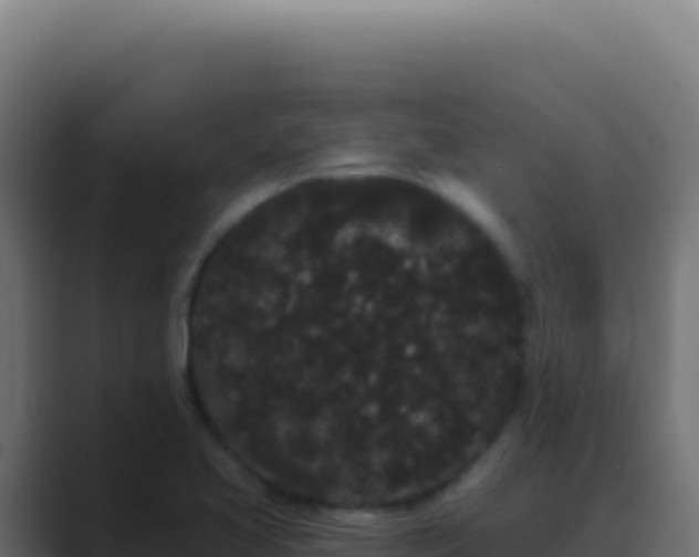 X0000089761413200706281635
