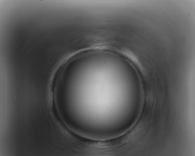 X0000089761414200706281635