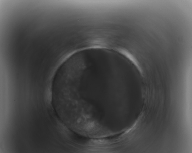 X0000089761415200706281635