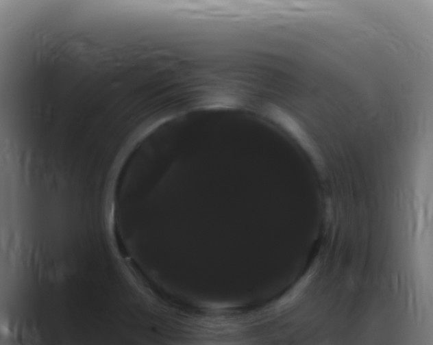 X0000089761418200706281635
