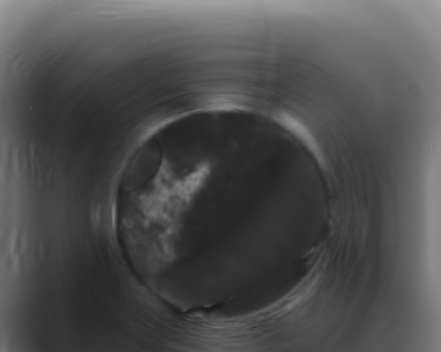 X0000089761419200706281635