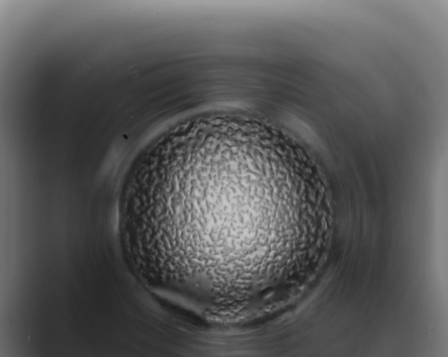 X0000089761420200706281635
