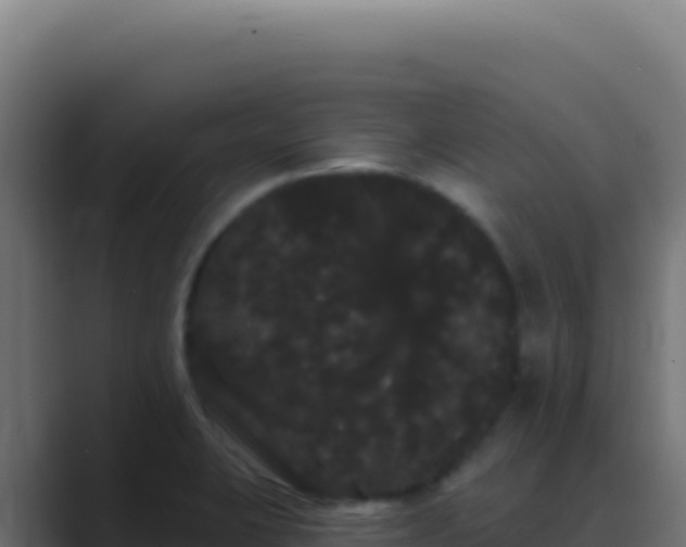 X0000089761423200706281635