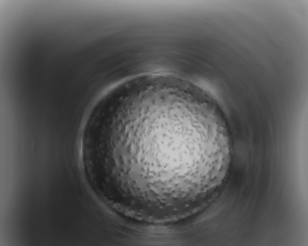 X0000089761424200706281635