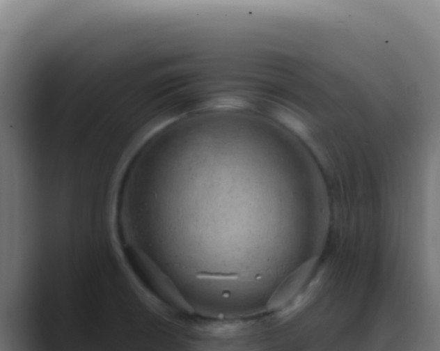 X0000089761426200706281635