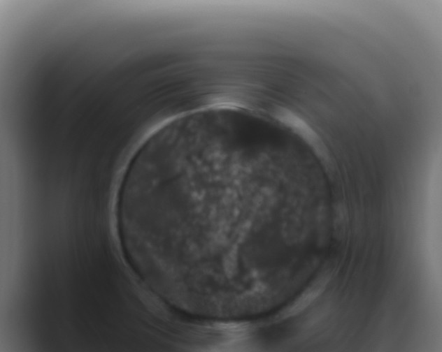 X0000089761427200706281635