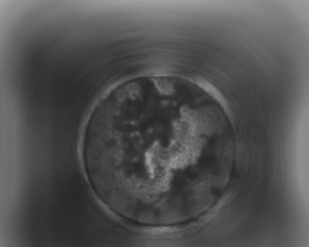 X0000089761429200706281635