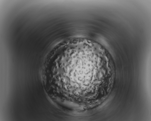 X0000089761433200706281635