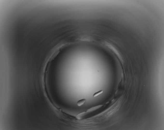 X0000089761434200706281635