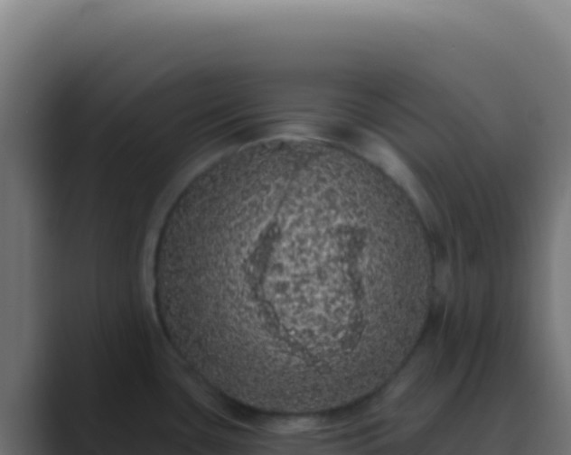 X0000089761435200706281635