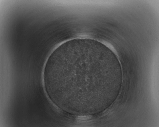 X0000089761440200706281635