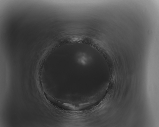 X0000089761441200706281635
