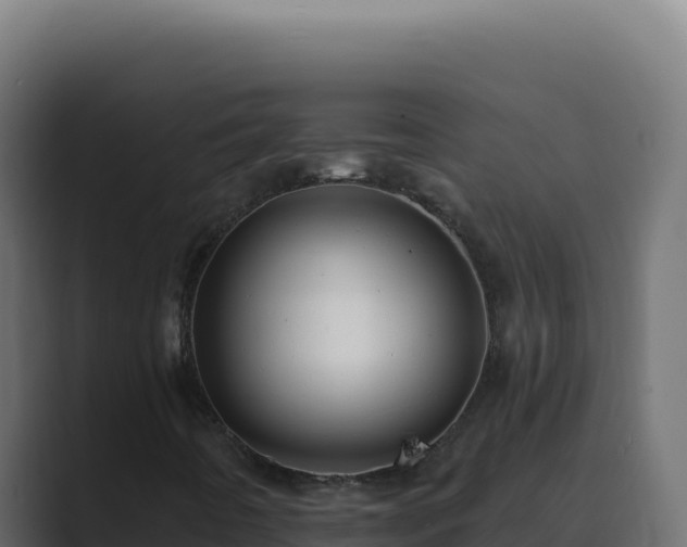 X0000089761442200706281635