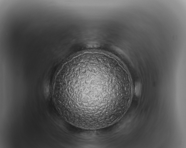 X0000089761444200706281635