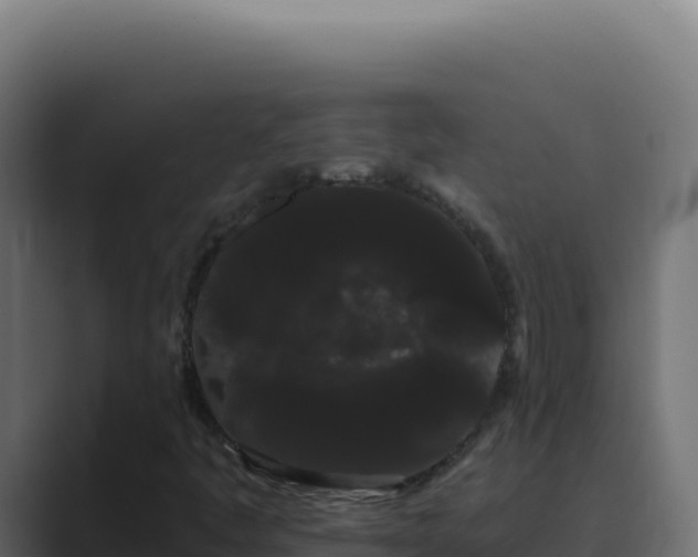 X0000089761445200706281635