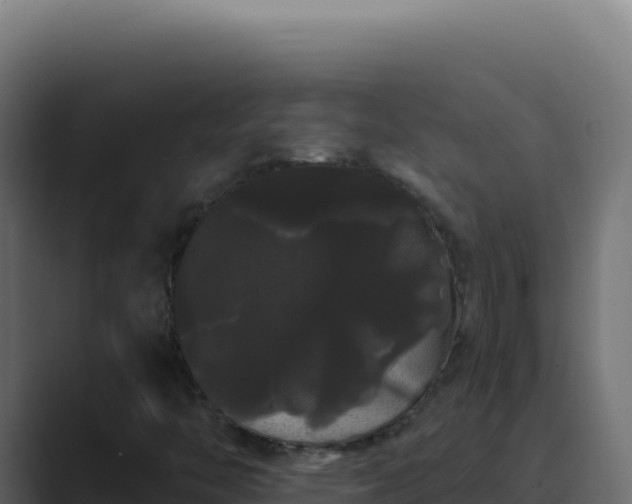 X0000089761446200706281635