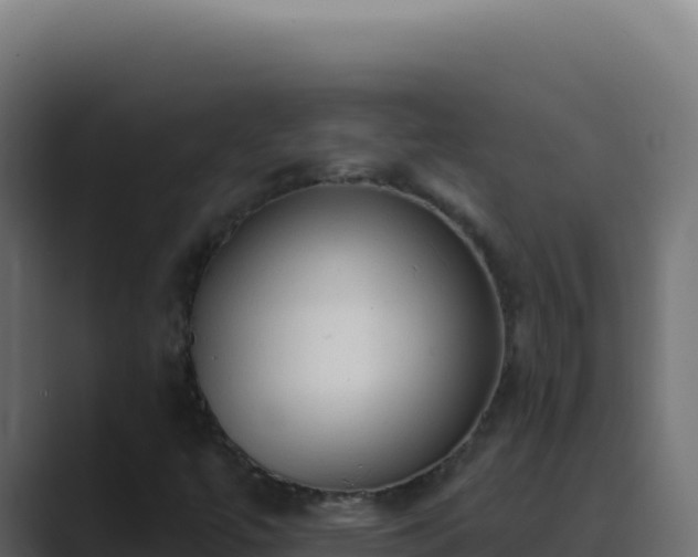 X0000089761447200706281635